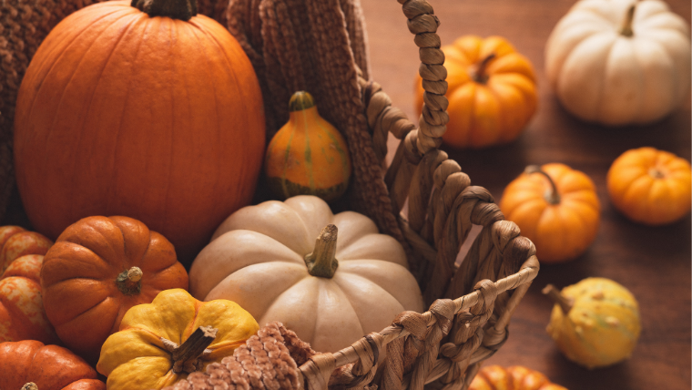 Halloween lantern: what to do with the leftover pumpkin parts?